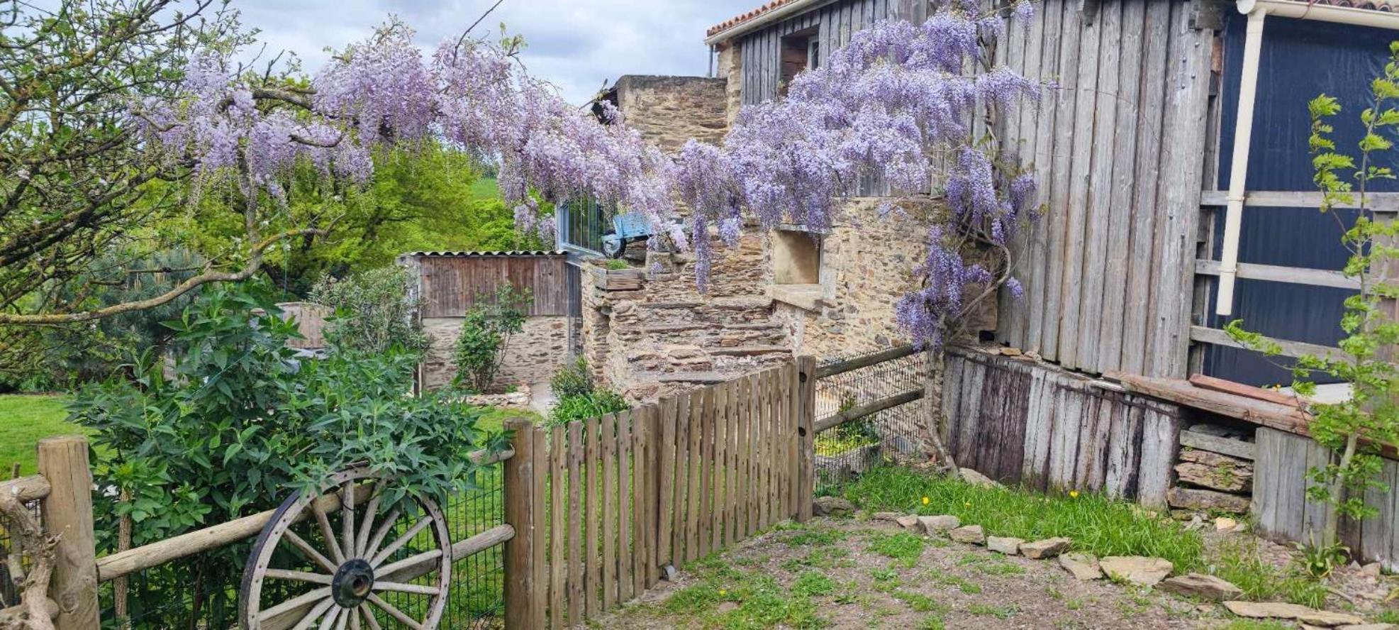 Aux Yourtes De La Fabrique Saint-Florent-des-Bois Kültér fotó